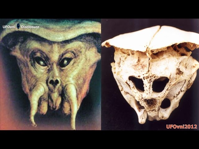 Un craniu misterios a fos găsit în munţii Rodopi din Bulgaria